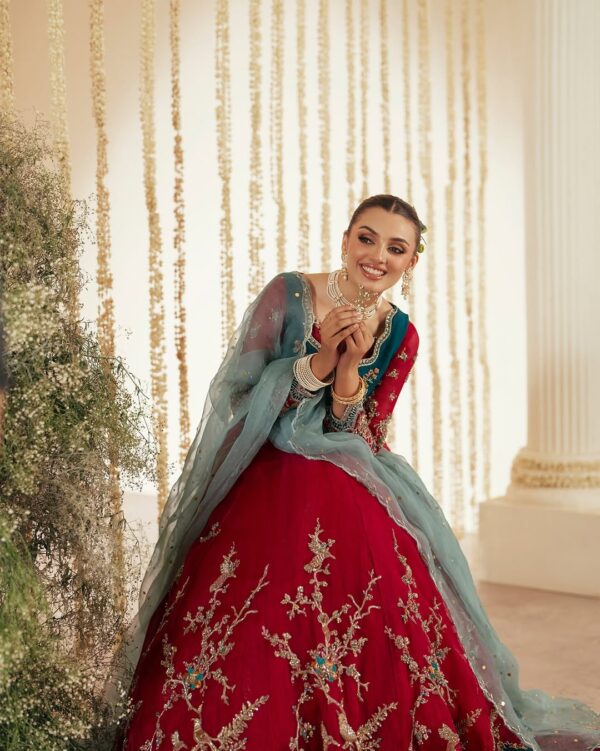 Royal Heritage Anarkali