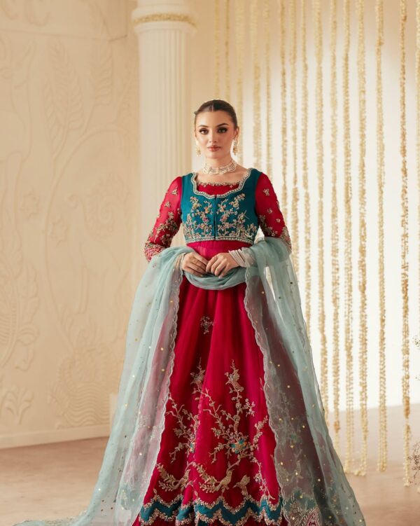 Royal Heritage Anarkali